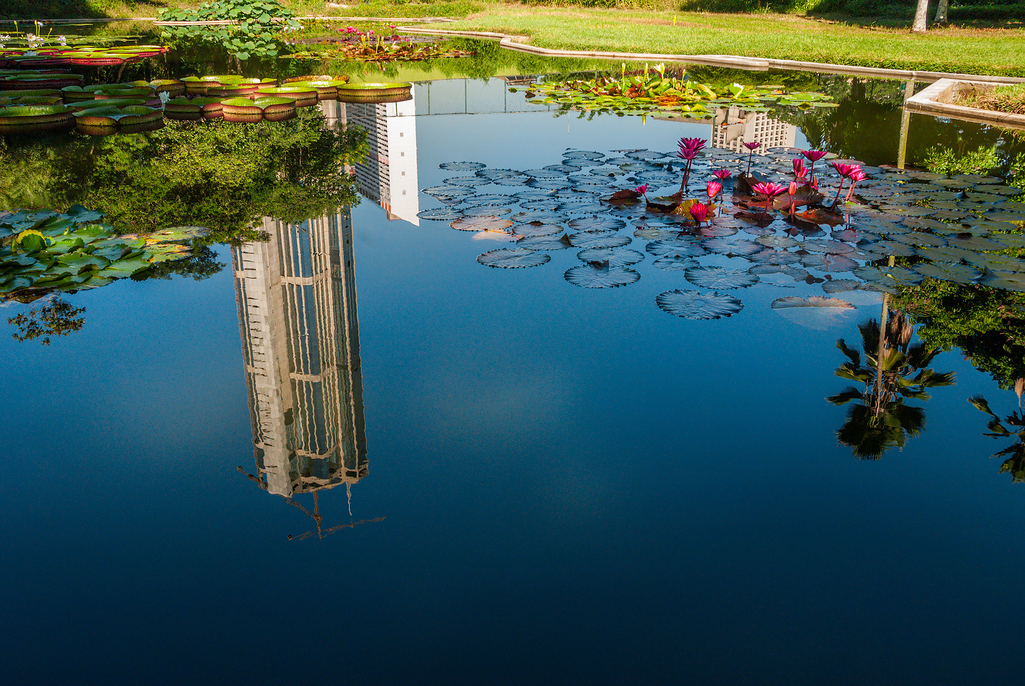 Caminata Fotográfica Jardín Botánico de Caracas