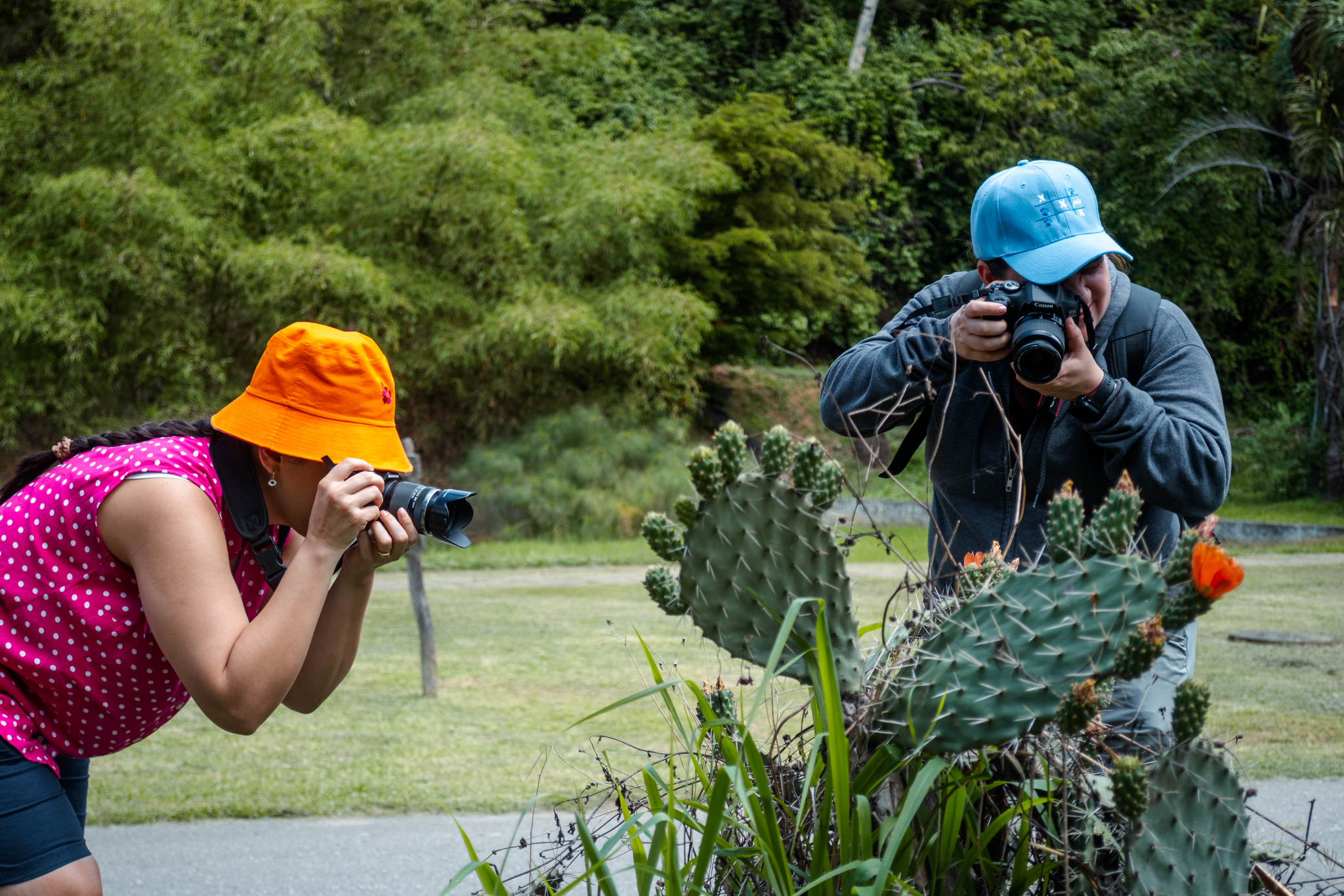 Caminata Fotográfica Jardín Botánico de Caracas
